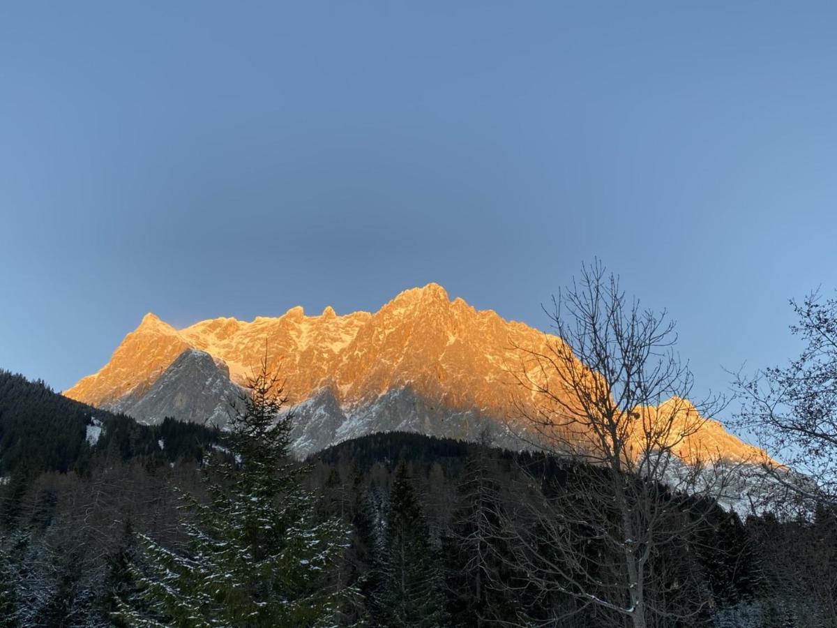 شقة Haus Alpengluehen ايروالد المظهر الخارجي الصورة